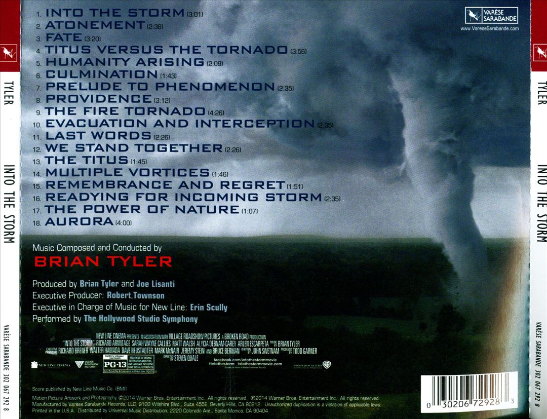 Into the Storm cover art