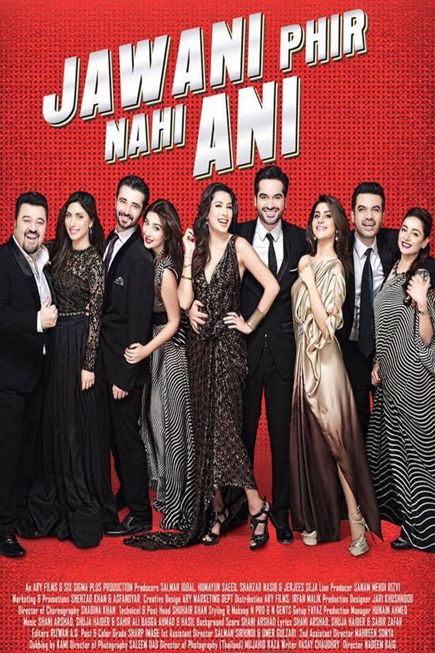 Jawani Phir Nahi Ani cover art