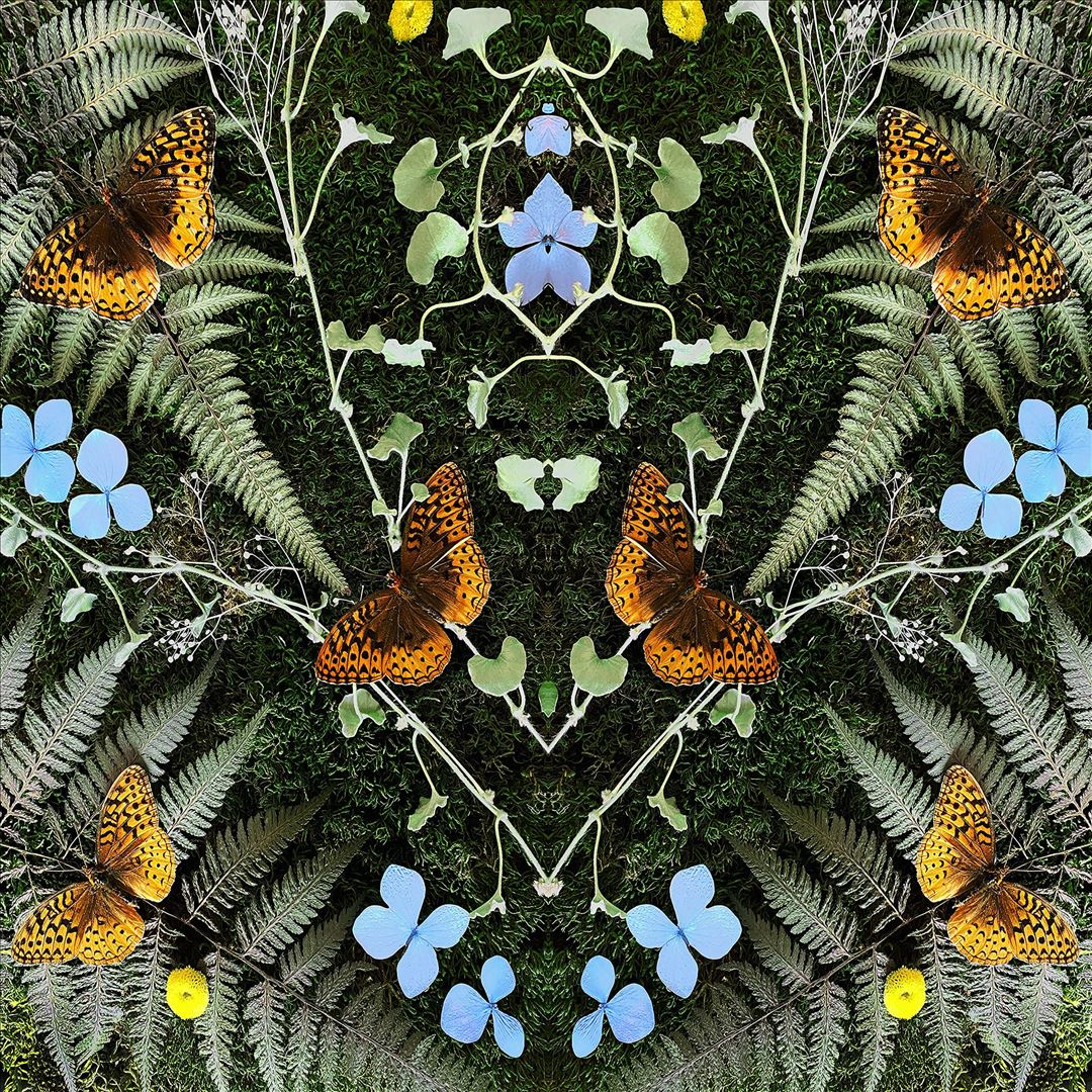 Aubades cover art