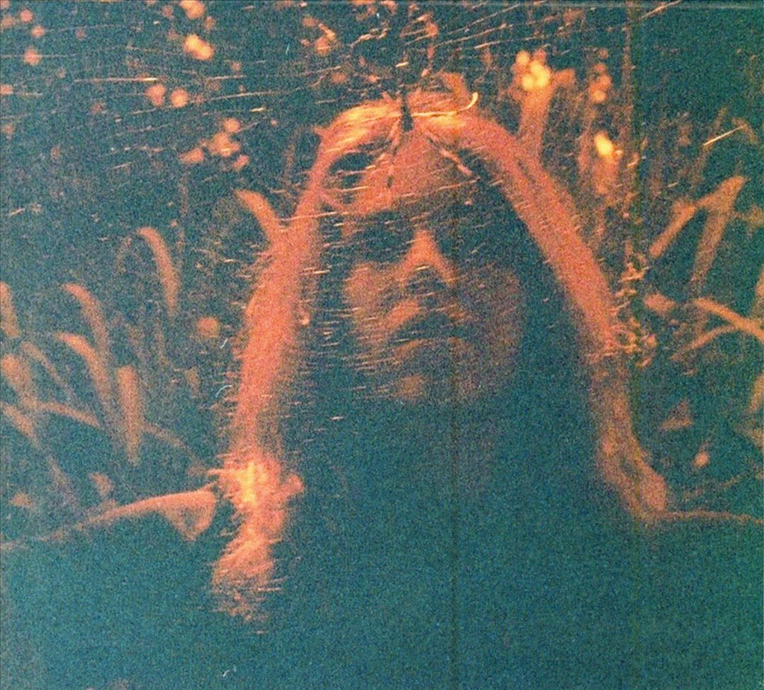 Peripheral Vision cover art