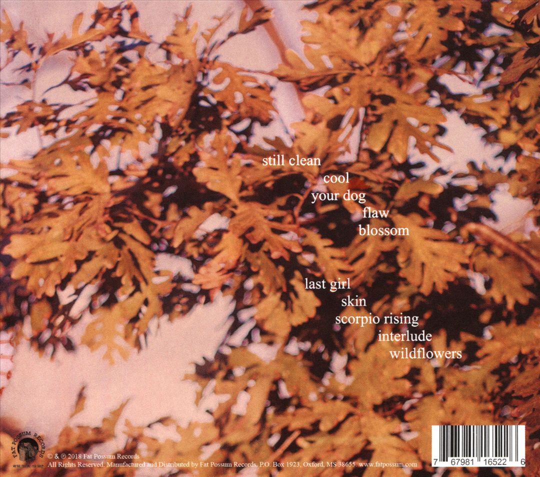Clean cover art