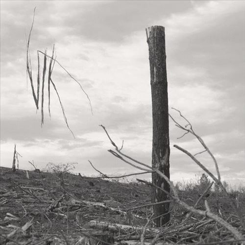 Solastalgia I cover art