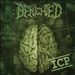 Insane Cephalic Production cover art