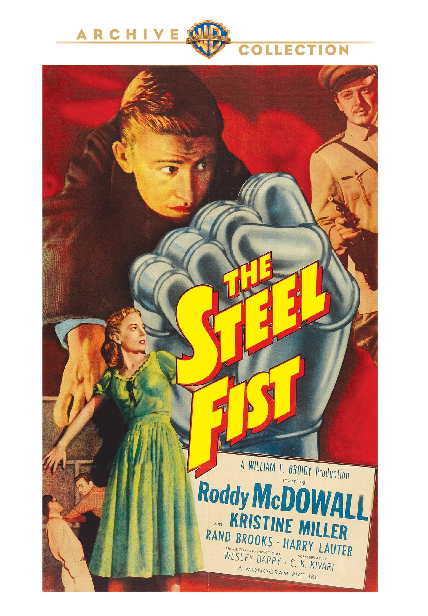 Steel Fist cover art