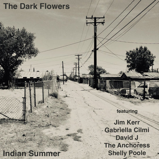 Indian Summer cover art