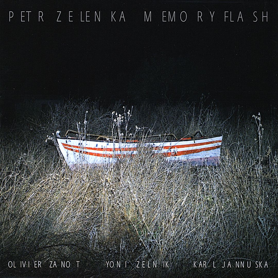 Memory Flash cover art