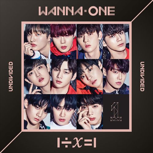 1÷X=1: Undivided cover art
