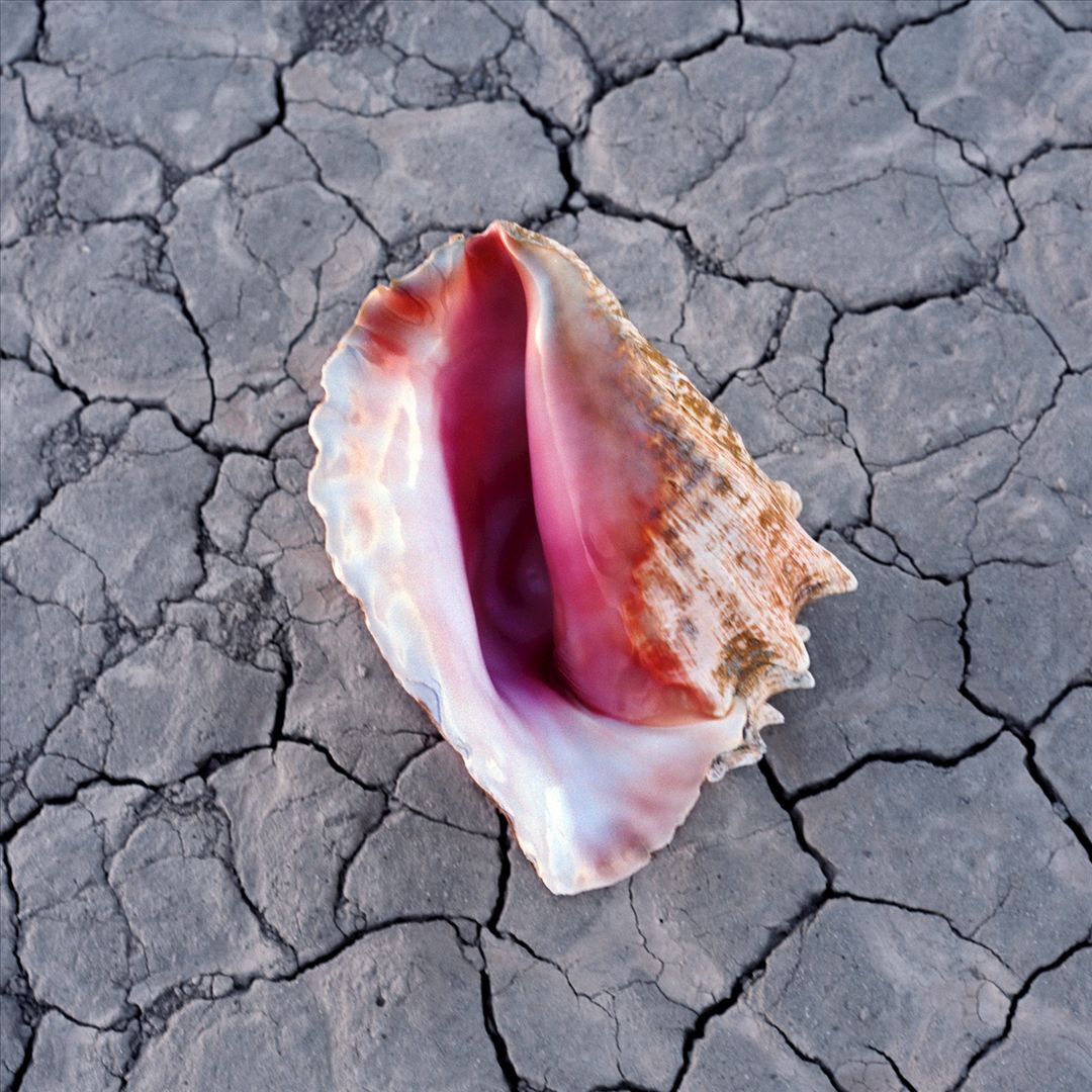 Wonderful Wonderful [Deluxe Edition] cover art