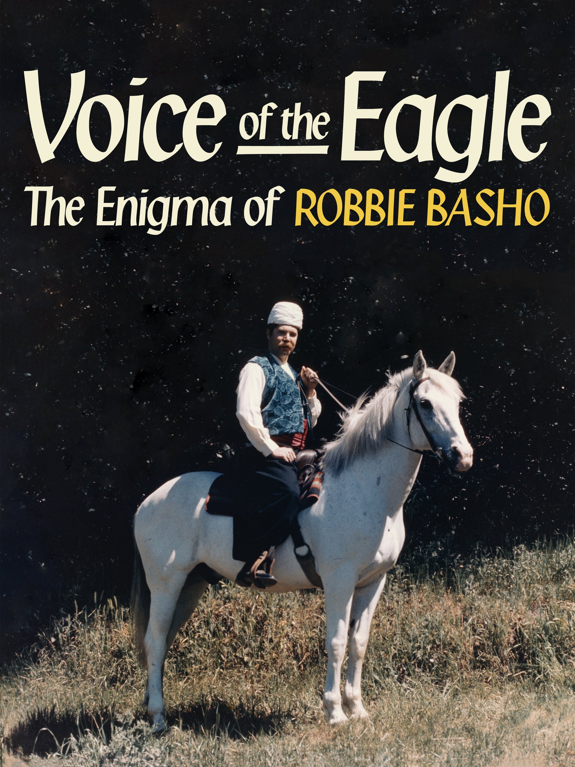 Voice of the Eagle: The Enigma of Robbie Basho [Video] cover art