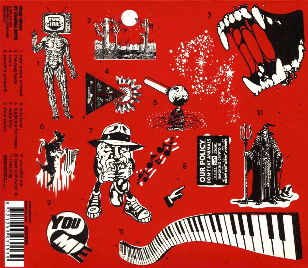 Viagr Aboys cover art