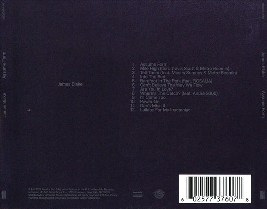 Assume Form cover art