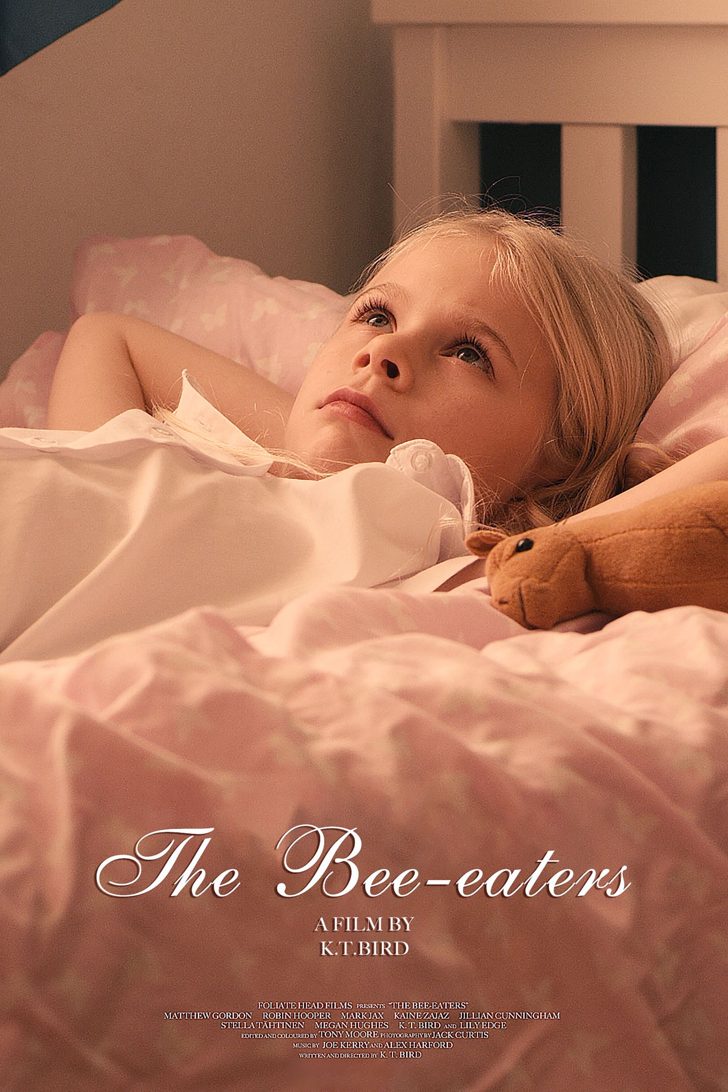 Bee-Eaters cover art