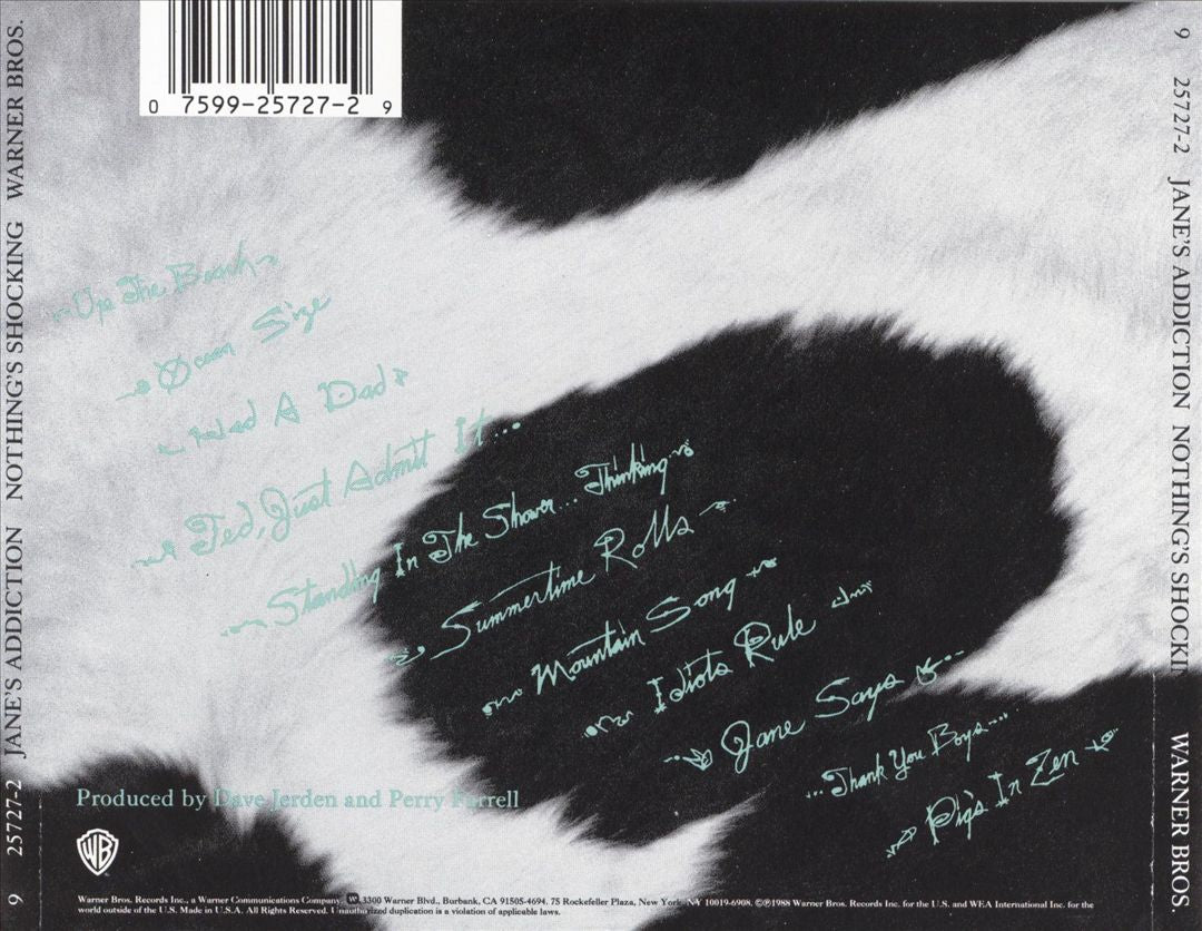 Nothing's Shocking cover art