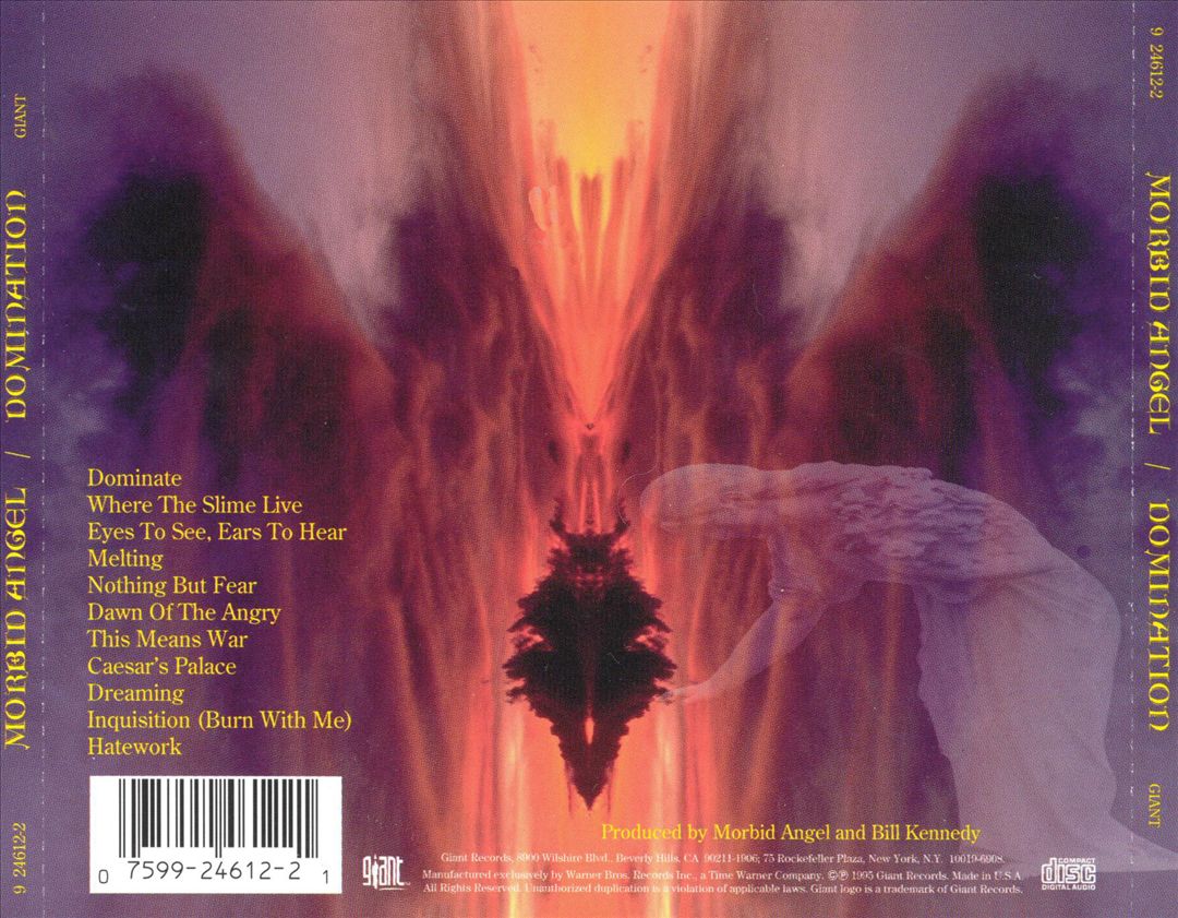 Domination cover art
