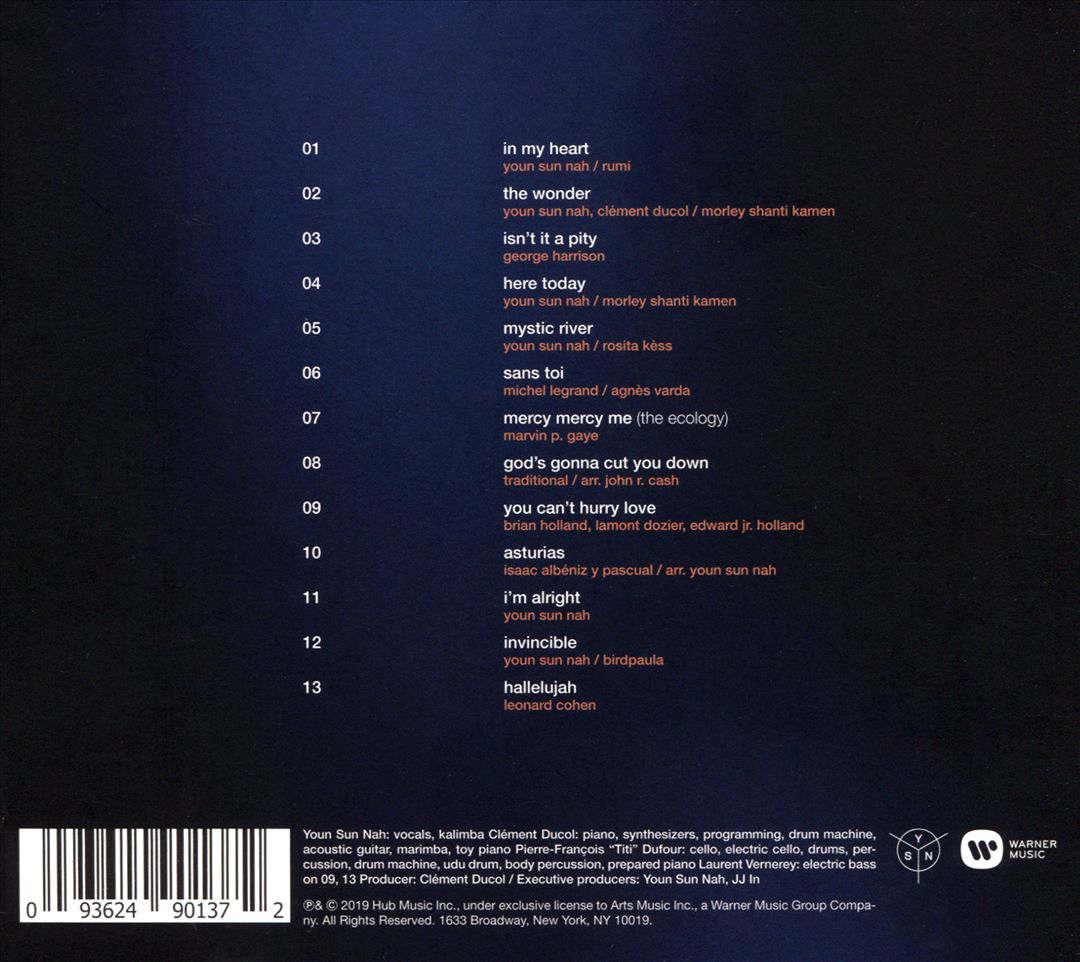 Immersion cover art