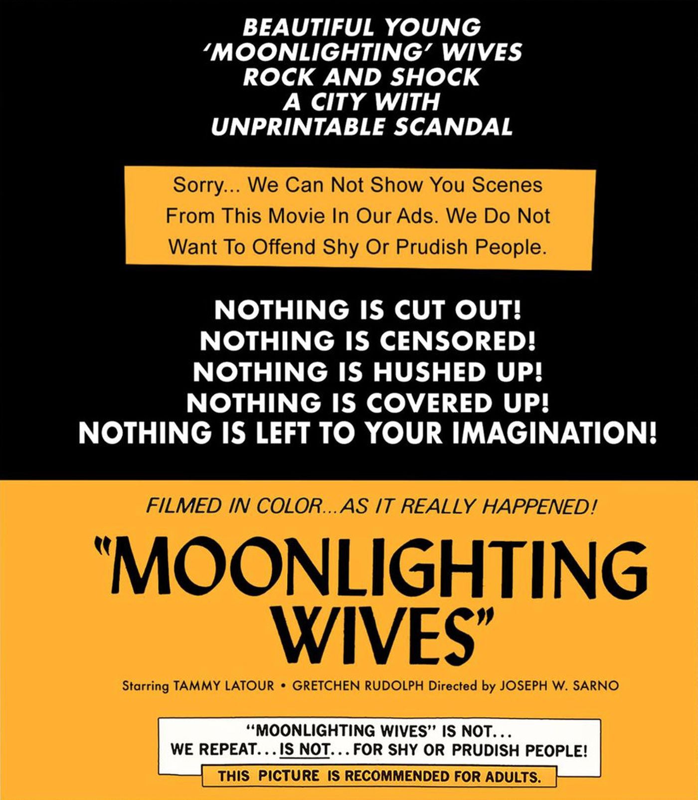 Moonlighting Wives [Blu-ray] cover art