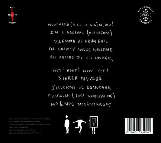 Fronzoli cover art