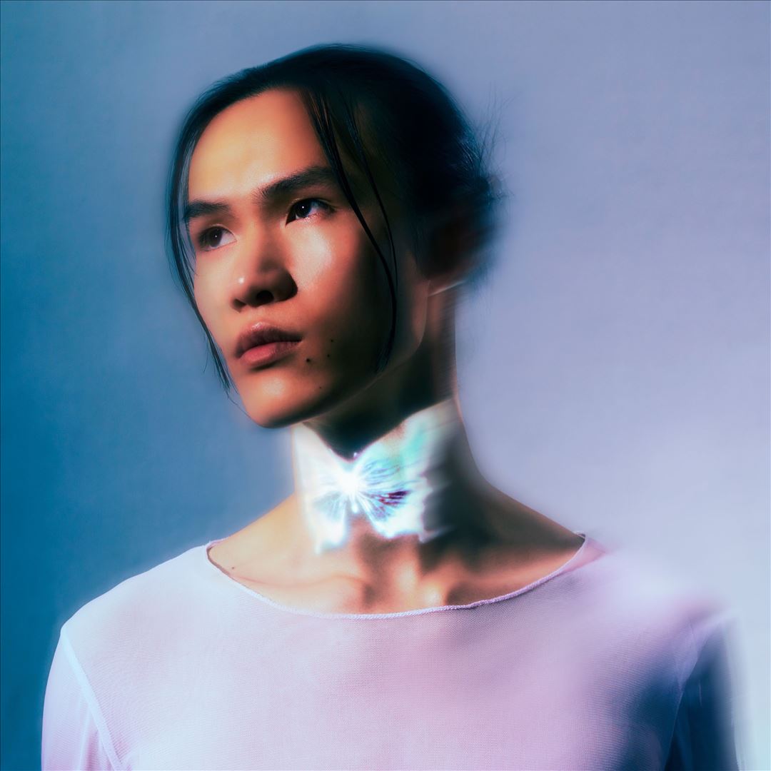 Loi du Papillon cover art
