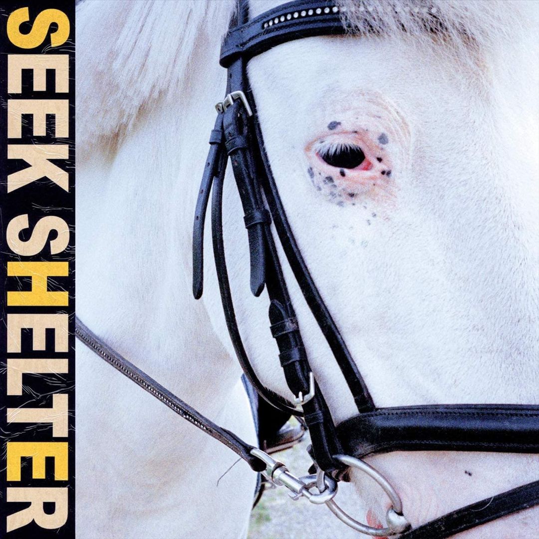 Seek Shelter cover art