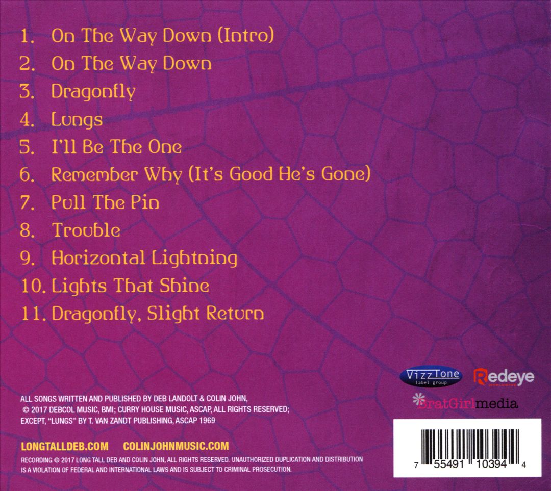 Dragonfly cover art