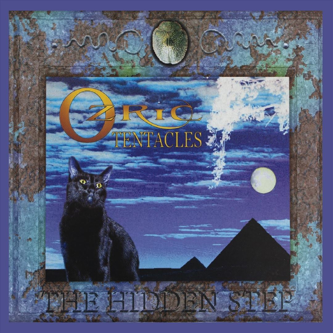 Hidden Step cover art