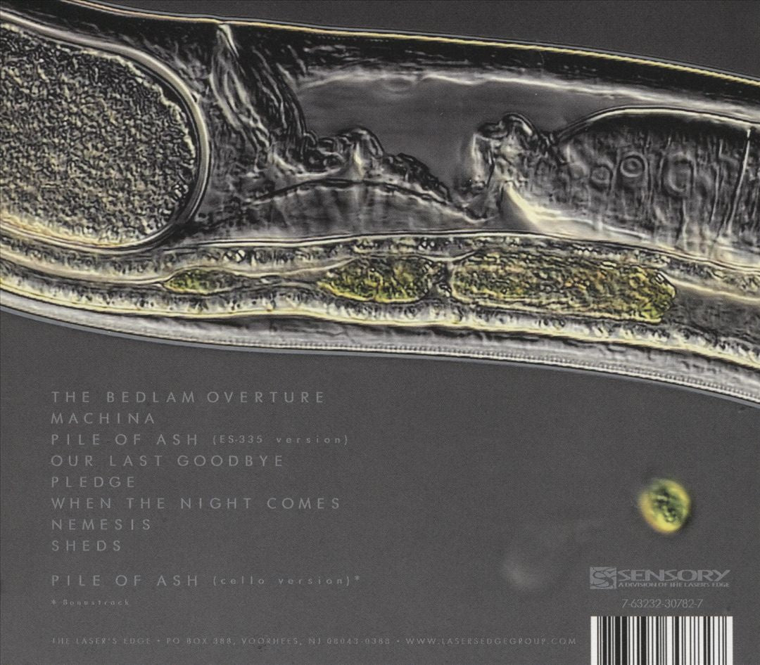 Machina Viva cover art