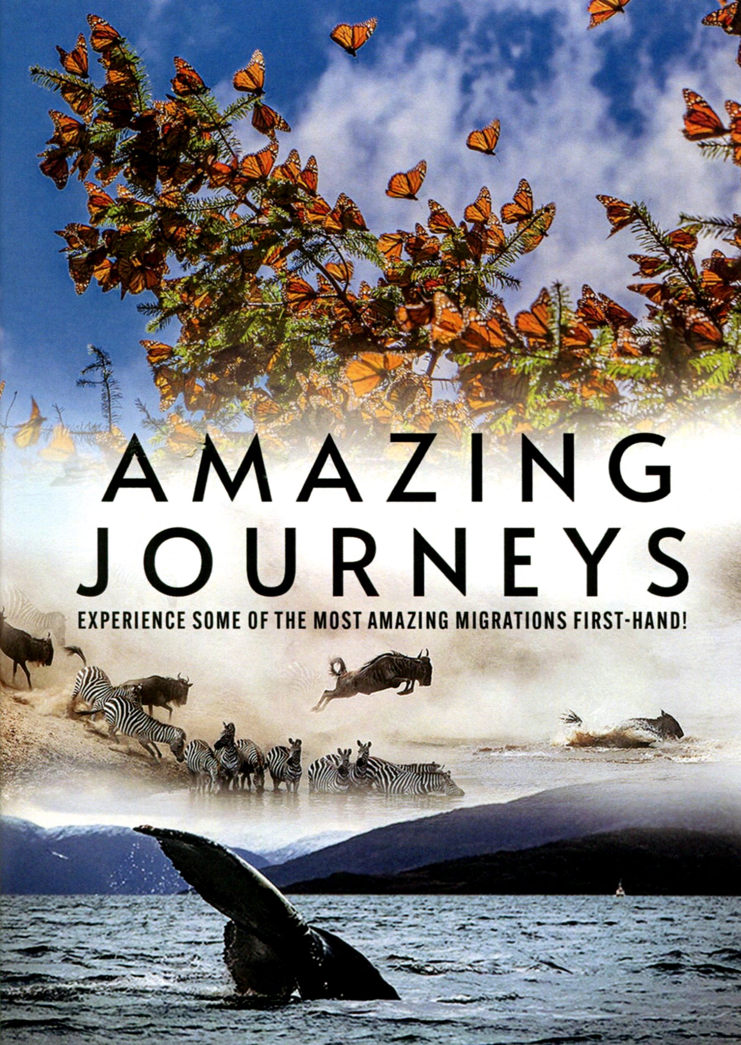 Amazing Journeys cover art
