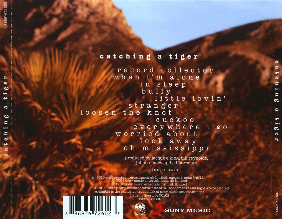 Catching a Tiger cover art