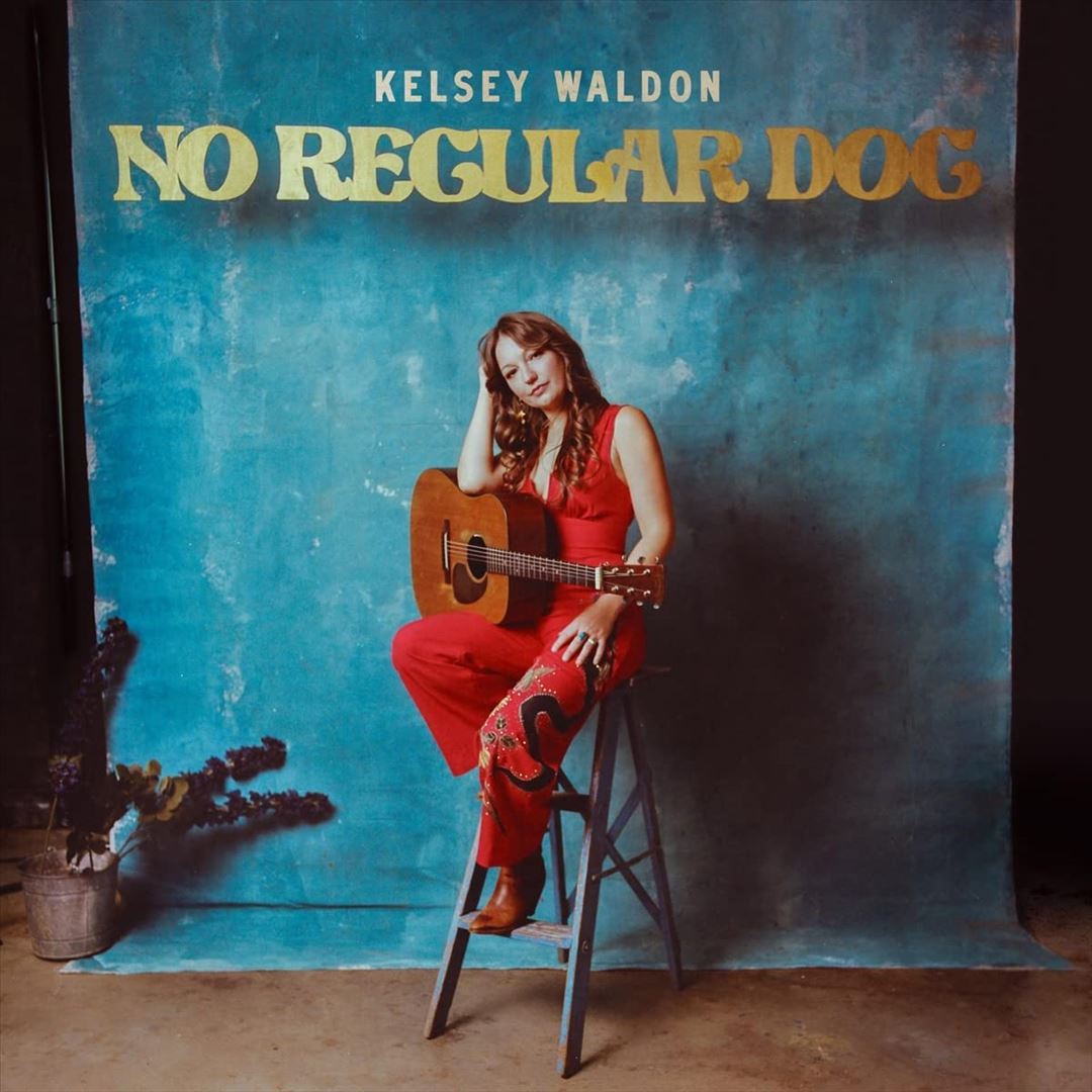 No Regular Dog cover art