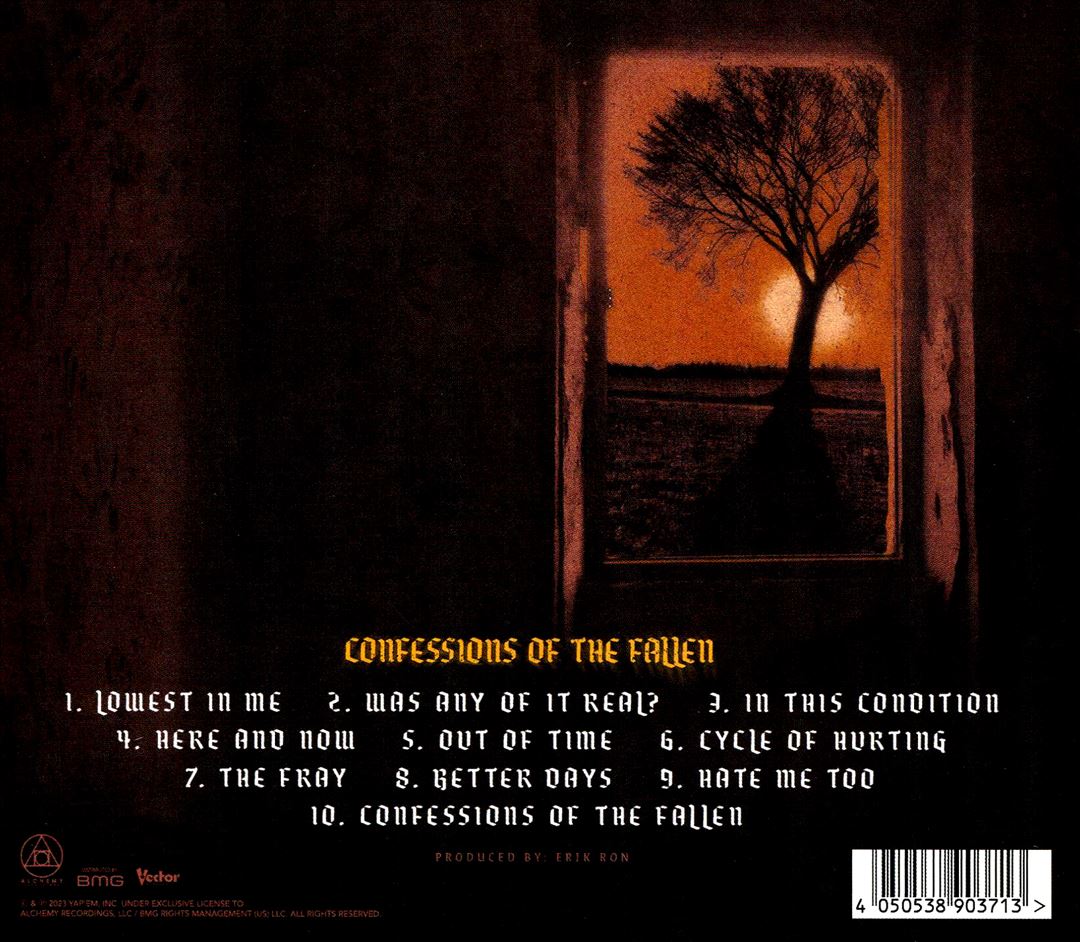 Confessions of the Fallen cover art