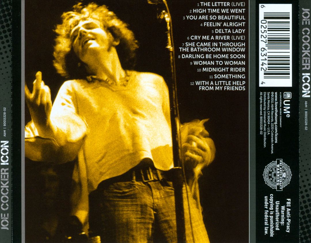 Icon cover art