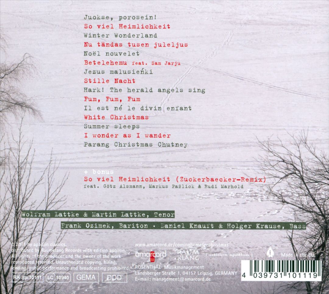 Coming Home for Christmas cover art