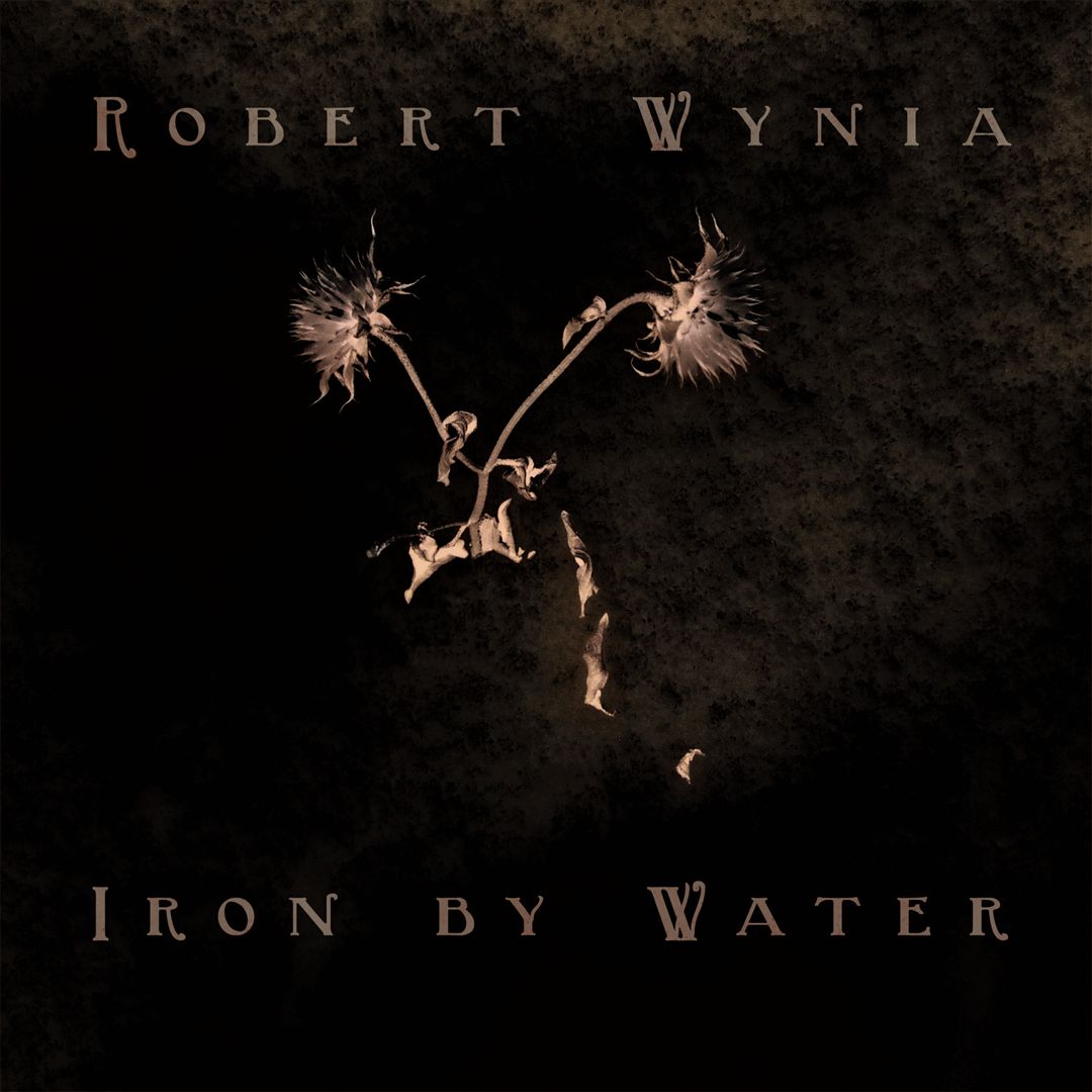 Iron by Water cover art