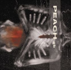 Giving Birth to a Stone cover art