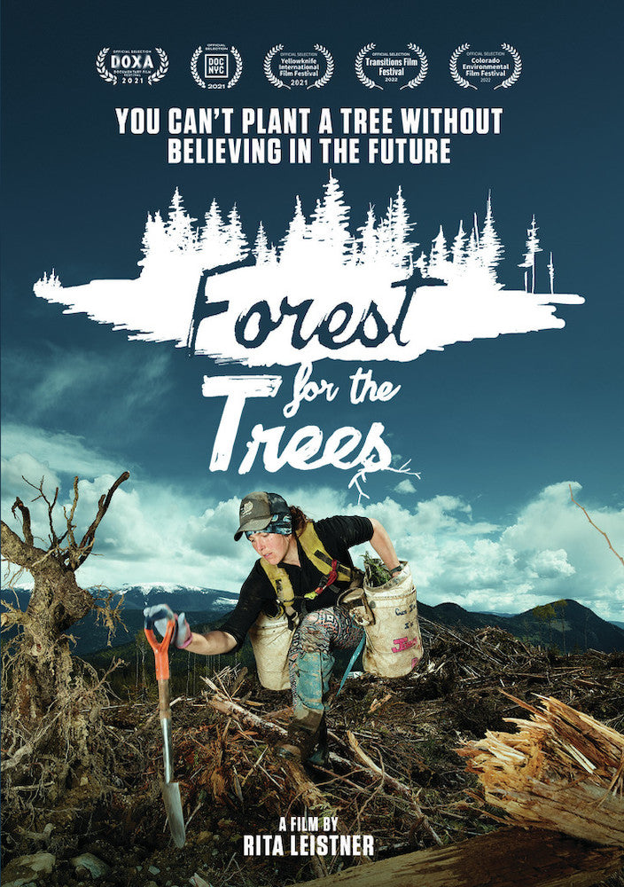 Forest For The Trees cover art