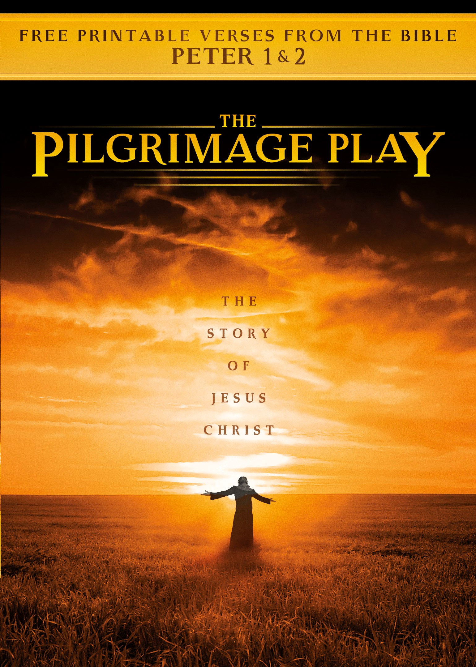Pilgrimage Play cover art
