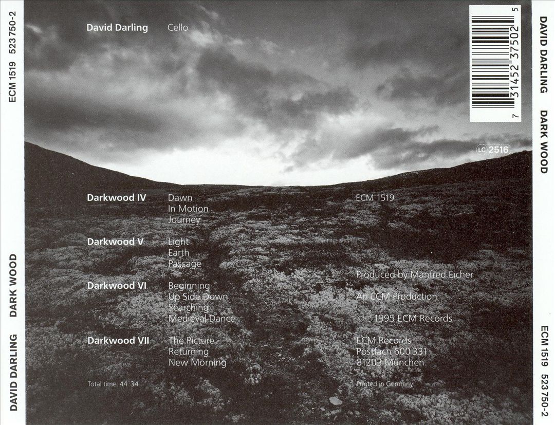 Dark Wood cover art