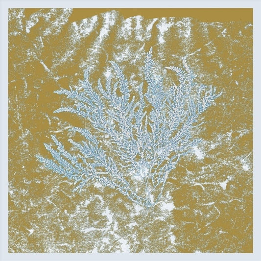 For Those of You Who Have Never (And Also Those Who Have) cover art