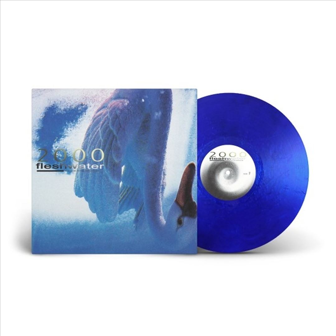 2000: In Search of the Endless Sky cover art