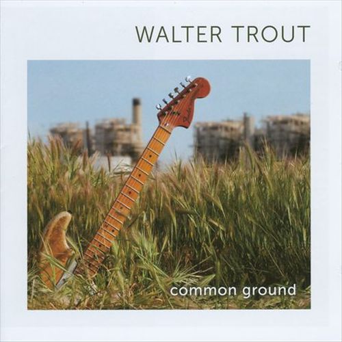 Common Ground cover art
