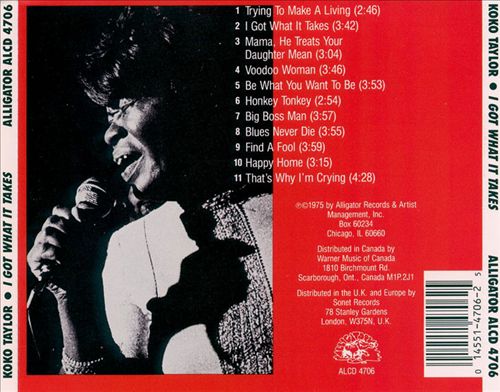I Got What It Takes cover art