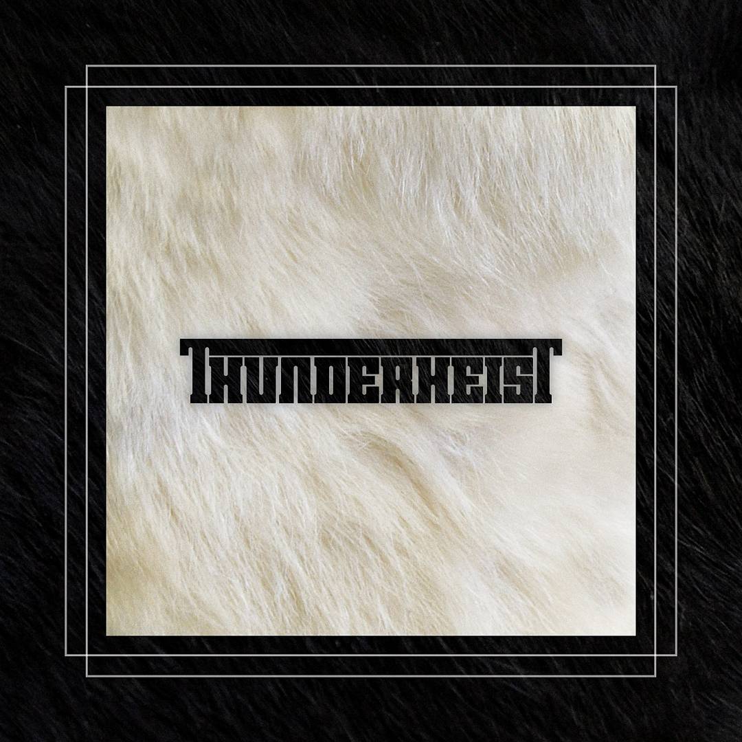 Thunderheist cover art