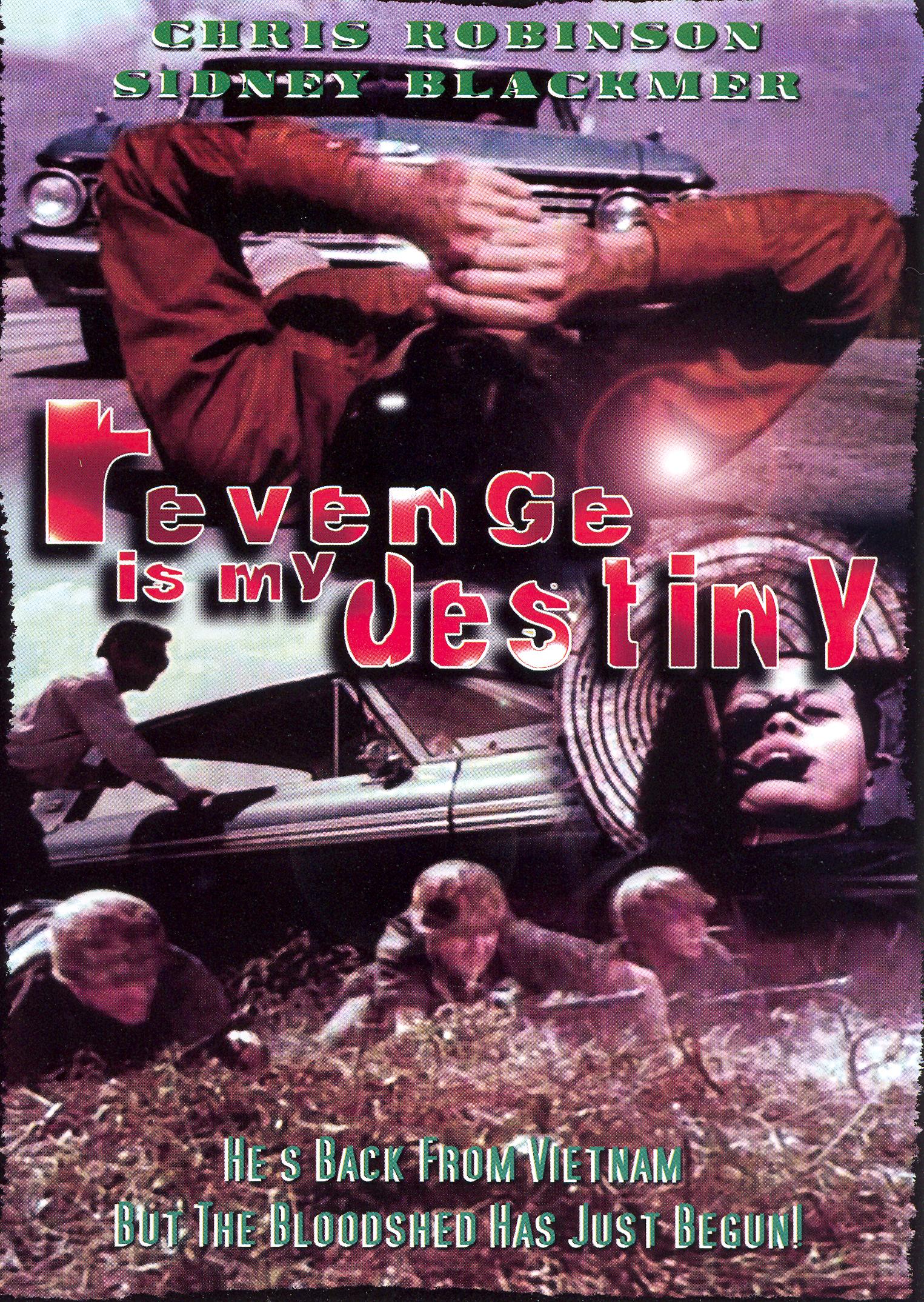 Revenge Is My Destiny cover art