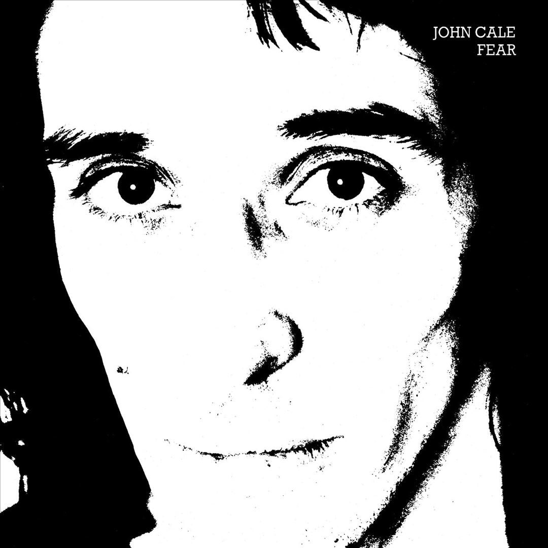 Fear cover art