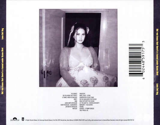 Did You Know That There's a Tunnel Under Ocean Blvd cover art