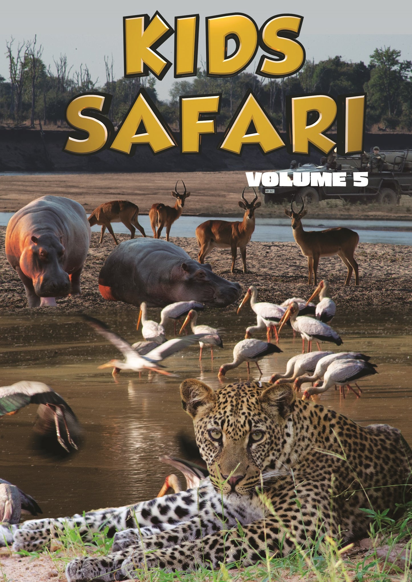 Kids Safari: Volume Five cover art