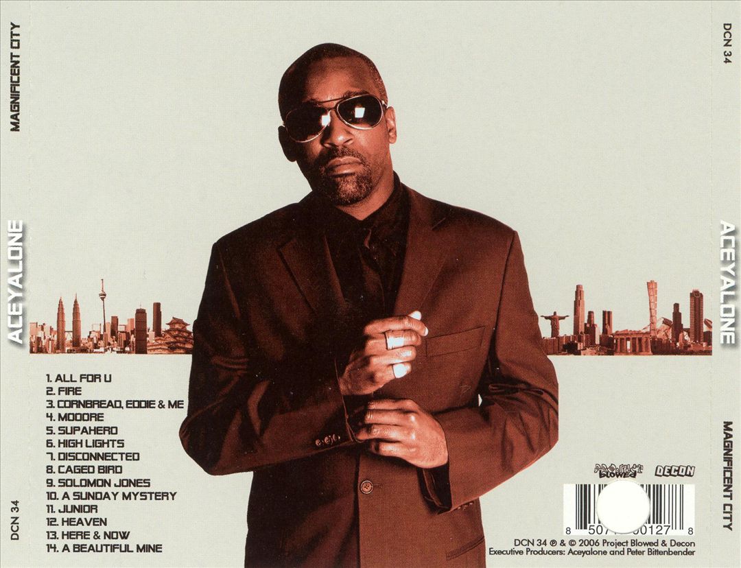 Magnificent City cover art