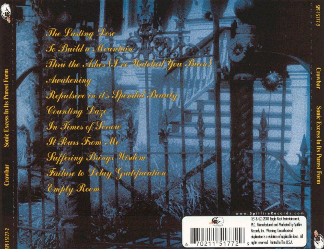 Sonic Excess in Its Purest Form cover art