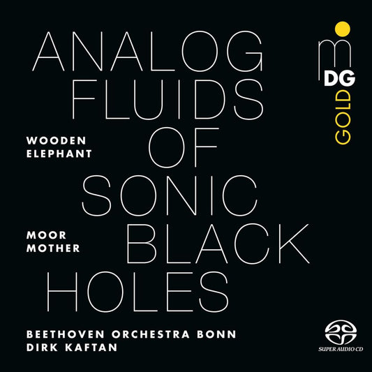 Analog Fluids of Sonic Black Holes cover art