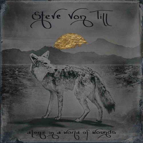Alone in a World of Wounds cover art